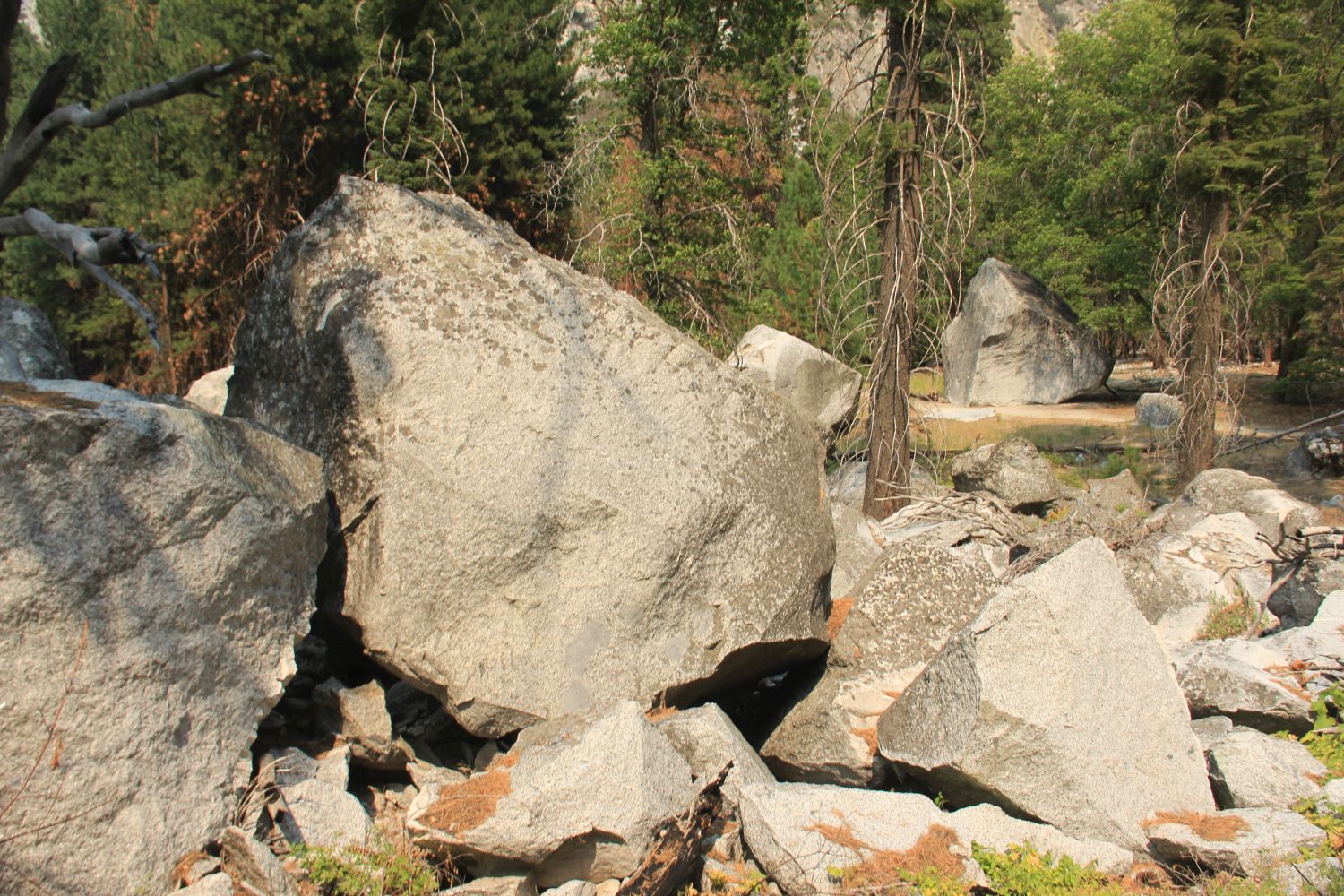 Zumwalt Meadows Trail 